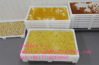 Commestibile i vassoi di secchezza di plastica per l'essiccamento il paintball/Softgel/capsula con il certificato