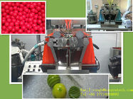 La macchina del creatore della capsula dell'olio di origine della noce di cocco, incapsula l'attrezzatura di riempimento e la formula