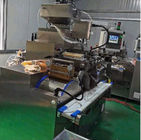 Servomotore automatico Macchina di produzione di capsule Softgel su larga scala Varia forma capsula Riempimento di olio