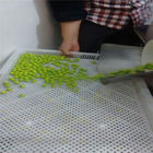 Metallo del commestibile/vassoi di secchezza di plastica per l'essiccamento della capsula Candy