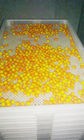 Anti alto materiale di plastica del pe dei vassoi dell'essiccazione di Temprature per l'essiccamento della cottura di congelamento