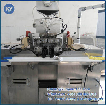 Qualità  3 Kw Small Batch Soft Capsule Making Machine For Laboratory Fabbrica