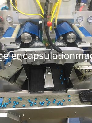 Macchina automatica di incapsulamento 304SUS, macchine d'incapsulamento di 880x640x1900mm