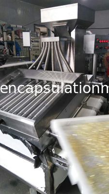 12 rulli incapsulano il vaglio