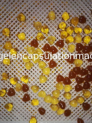 Fabbrica di riempimento liquida dell'attrezzatura di incapsulamento di Softgel farmaceutica con controllo dello SpA