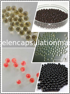 A 7 pollici muore la macchina dell'incapsulamento di Softgel del rotolo per l'olio di Cbd, 1 anno Warantee