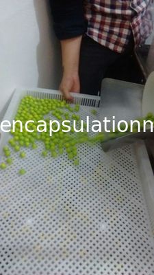 Larga scala efficiente di incapsulamento di Softgel di paintball della macchina elettrica del creatore alta