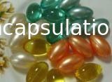 miscelatore farmaceutico di colore della gelatina del macchinario 5kw con l'idraulico di sollevamento