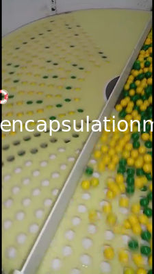 Conteggio di ispezione della capsula di Softgel e macchina imballatrice una garanzia da 1 anno