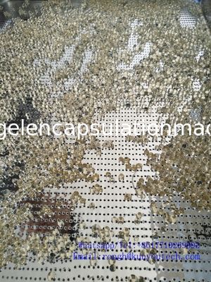 380V / macchina molle di incapsulamento della gelatina 220V senza cuciture con una garanzia da 1 anno