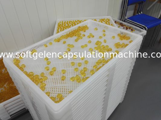 Vassoio e carrello di plastica del commestibile con la dimensione 750*550*45 per l'essiccamento nel discoult