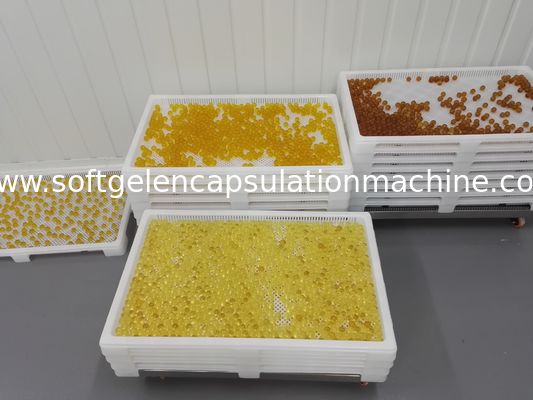 Commestibile l'essiccazione farmaceutica dei vassoi di secchezza di plastica per le capsule ed il paintball di Softgel