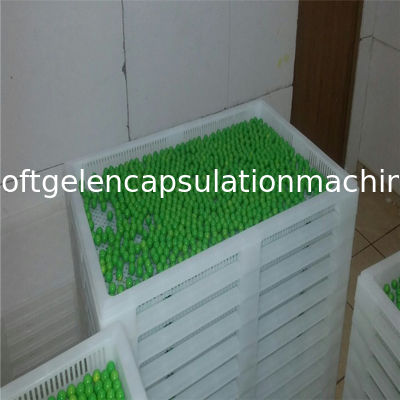 Softgel incapsula la temperatura elevata di secchezza di plastica dei vassoi che sopporta il colore su misura