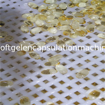Macchina automatica non animale di incapsulamento di Softgel Vgel per 50000 - 70000 capsule/H