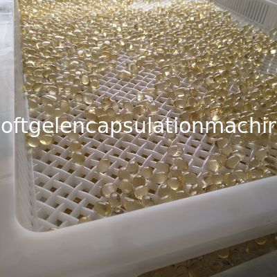 Softgel incapsula la temperatura elevata di secchezza di plastica dei vassoi che sopporta il colore su misura