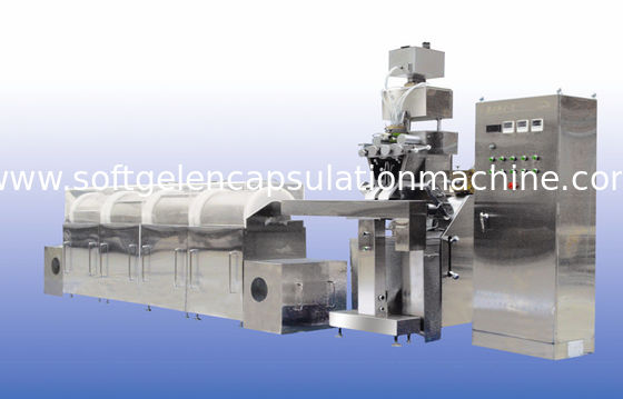 macchina classica di incapsulamento di Softgel di progettazione 13kw per l'olio di pesce, olio dell'aglio, riempimento di vatamin
