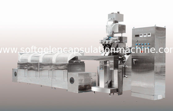Macchina molle automatica di incapsulamento della gelatina forma ovale/oblunga con il conteggio