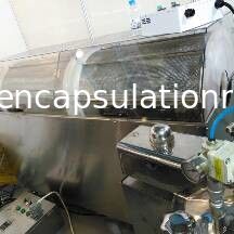 Capsule/H delle macchine 50000 - 70000 di incapsulamento di acciaio inossidabile 316 Softgel