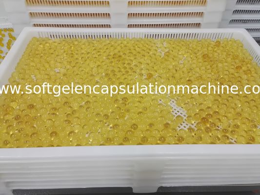 Fabbrica di riempimento liquida dell'attrezzatura di incapsulamento di Softgel farmaceutica con controllo dello SpA