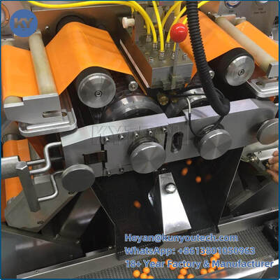 304/316L Macchina per la produzione di capsule morbide in acciaio inossidabile con 43470 capsule/ora di uscita e velocità regolabile da 0 a 5 giri al minuto