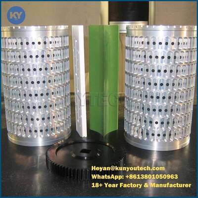 La muffa molle su ordinazione della capsula/muore muffa Ф103 X 172mm del rotolo per farmaceutico