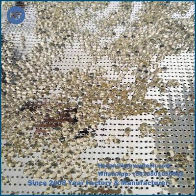 Macchina per softgel senza giunture a più ugelli con taglio a impulso per un'elevata resa del prodotto finito