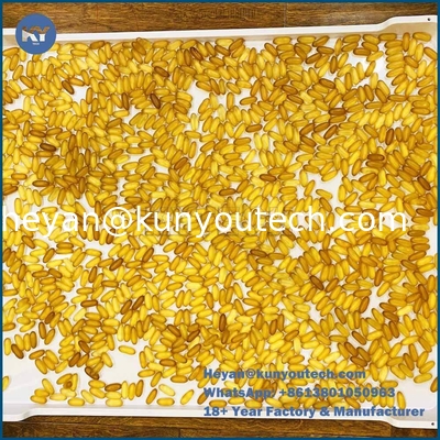 Vassoio di essiccazione in plastica PP per alimenti 758x608x40mm