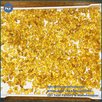 Vassoi asciugantesi di plastica del PPE ISO9001 75 * 55 * 5cm per la capsula Candy