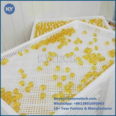PPE di plastica Tray For Drying Environmental Non-Toxic di 75 * di 55 * 5cm
