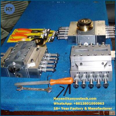 Produzione morbida di incapsulamento della gelatina delle parti della macchina di rifornimento della capsula SS316