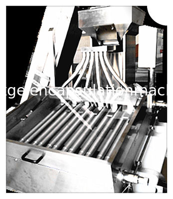Materiale halal della macchina Ss316 di incapsulamento di Softgel del gel per il materiale da otturazione dell'olio di Canabis