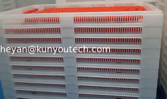 Vassoi di plastica accatastabili bianchi del commestibile/vassoio di raffreddamento 762*495*55mm