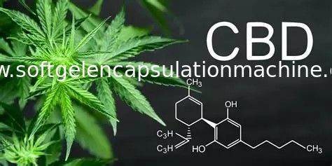 Uso automatico del laboratorio della macchina di incapsulamento di Softgel per l'olio di CBD che riempie il mercato di U.S.A.