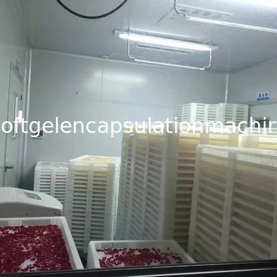Materiale molle della macchina della macchina SS316 della capsula di gel dell'industria farmaceutica