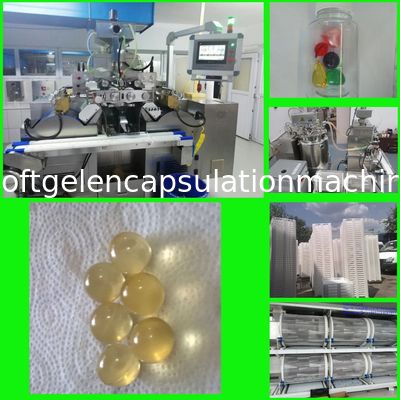 macchina di incapsulamento di 7rpm Ss316 Softgel per olio