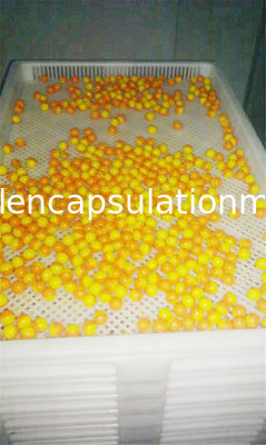 Anti alto materiale di plastica del pe dei vassoi dell'essiccazione di Temprature per l'essiccamento della cottura di congelamento