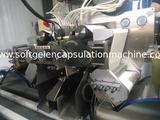 Piccolo conteggio della bottiglia compressa/di Softgel e macchine imballatrice materiale SS304 di 120b/M - di 10