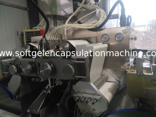 Una garanzia farmaceutica fabbricante da 1 anno della macchina della capsula di controllo dello SpA