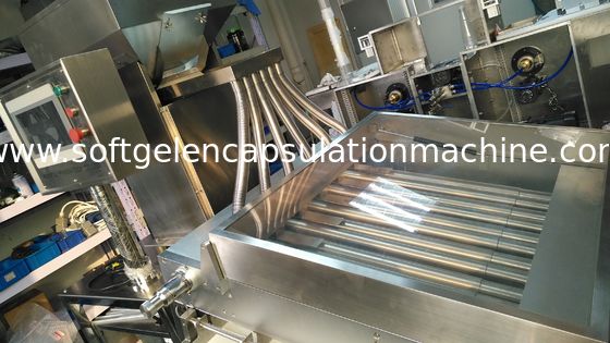 Macchina farmaceutica a 10 pollici della capsula di Softgel per l'olio di pesce Softgel 120000 pc/H