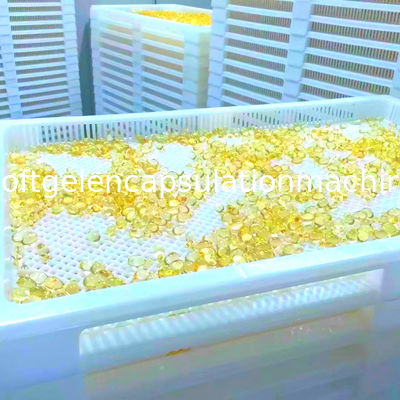 Vassoi asciugantesi di plastica bianchi del commestibile per le capsule ed il paintball di Softgel