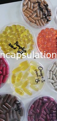 Muffa molle 50000pcs/H della capsula di incapsulamento 103x152 della gelatina