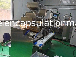 6RPM Softgel Encapsulation Machine olio di pesce e pasta di riempimento 120000 Pcs/h