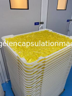 Vassoi asciugantesi di plastica del Ce del Ppe del fondo piatto dell'ABS dei pp 5cm nell'essiccazione della capsula