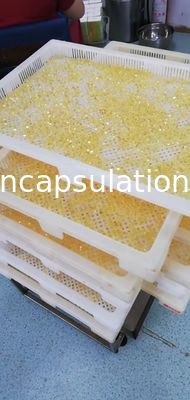 Macchina molle della perla di incapsulamento medico per il materiale da otturazione dell'olio di pesce