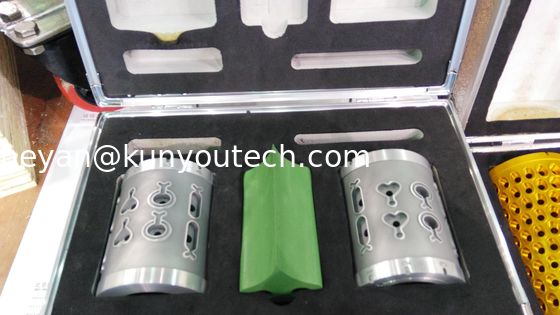 Il pesce modella la muffa di foggiatura della capsula del rotolo del dado per 10