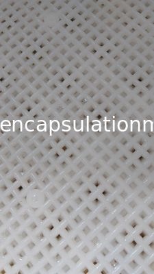 Commestibile i grandi vassoi di plastica per l'essiccamento il paintball/Softgel/capsula con il certificato