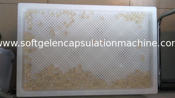 Commestibile i grandi vassoi di plastica per l'essiccamento il paintball/Softgel/capsula con il certificato