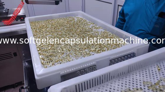 Macchina automatica Ss304 di incapsulamento di Vgel di paintball