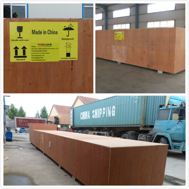 Macchina più asciutta di caduta di Producion di incapsulamento di SS304 Softgel 7