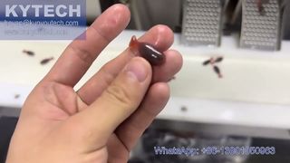 Macchina per incapsulamento servo softgel a forma di pesce